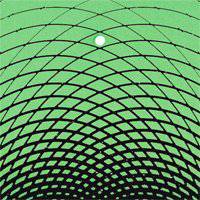 The Oscillation : Future Echo